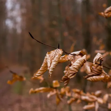Appartamento Hof Am Horn - Fewos In Der