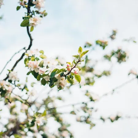 Hof Am Horn - Fewos In Der