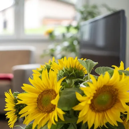 Hof Am Horn - Fewos In Der Laichingen