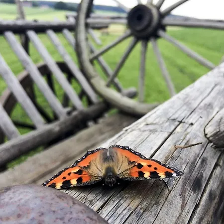 Hof Am Horn - Fewos In Der *