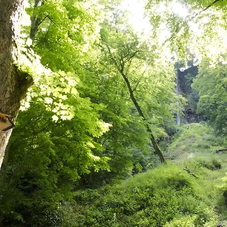 Hof Am Horn - Fewos In Der Appartamento *